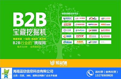 海口网络推广价格与效果 蓝欣科技助力中小企业数字化转型