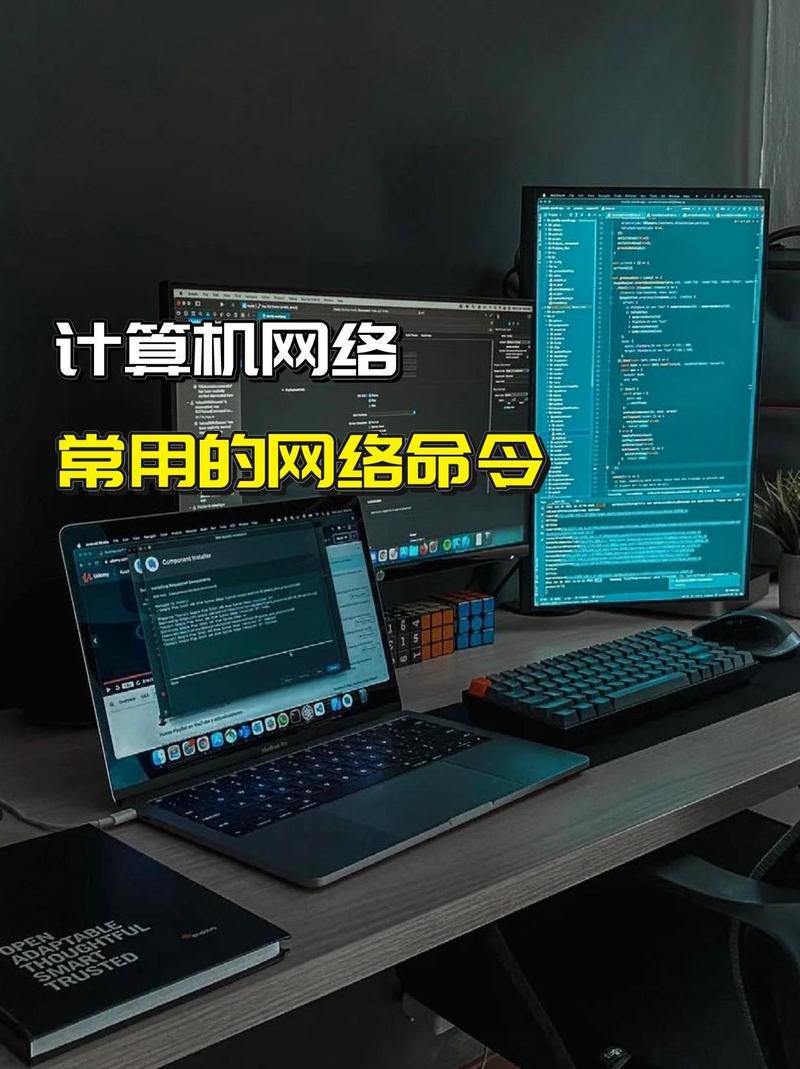 海口龙华咯考网络科技工作室 - 抖音